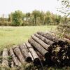 Im Vordergrund liegt ein Holzstapel aus langen, unbearbeiteten Stämmen. Dahinter sieht man ein offenes Feld mit Gras und einigen Bäumen dahinter