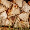 Holzscheiter auf Wiese -nahaufnahme