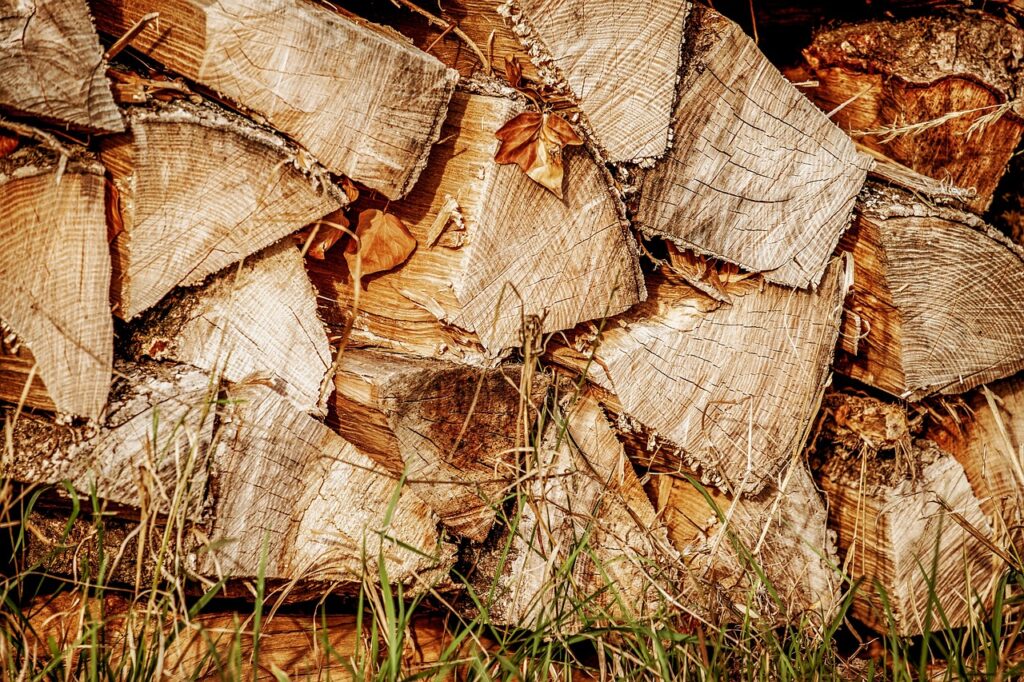 Holzscheiter auf Wiese -nahaufnahme