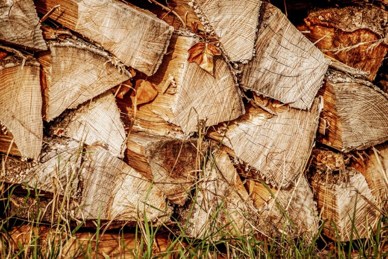 Holzscheiter auf Wiese -nahaufnahme