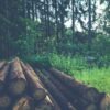 holzstapel in wald
