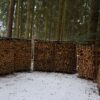 Gestapeltes Brennholz in einem verschneiten Wald, ein Zeichen der Wintervorbereitungen.
