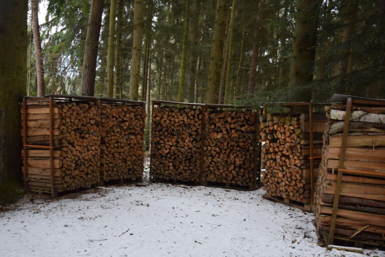 Gestapeltes Brennholz in einem verschneiten Wald, ein Zeichen der Wintervorbereitungen.
